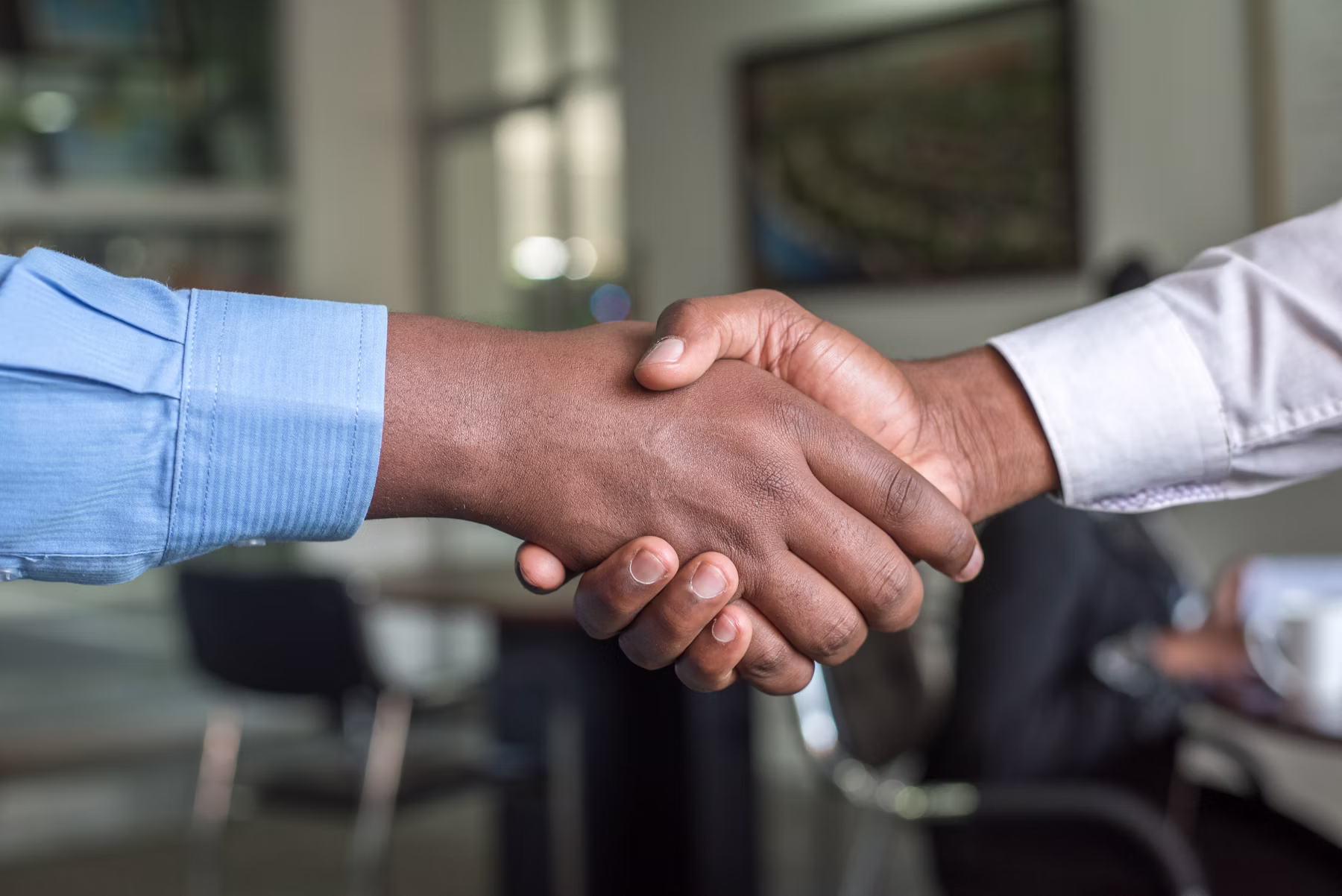 Business partners in a professional meeting